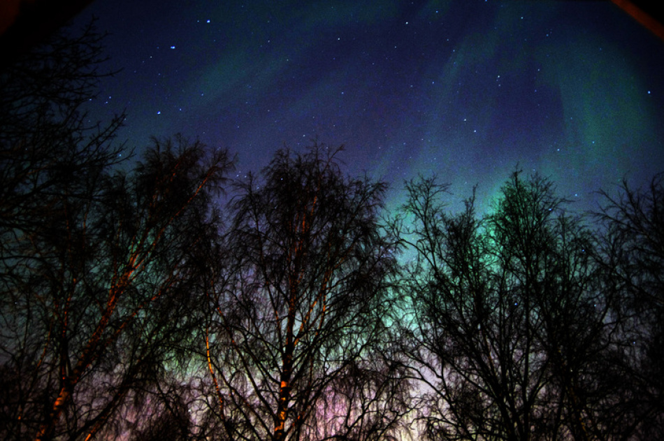 Северное сияние озарило небо Петербурга и Ленобласти в начале сентября